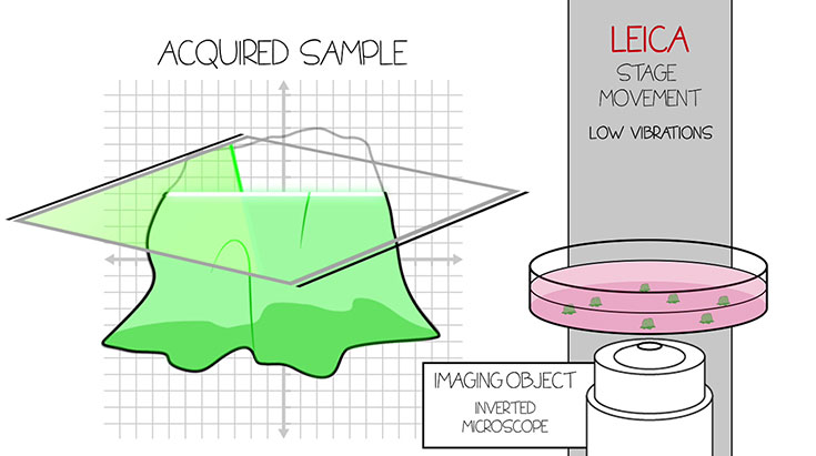Leica Stage Movement